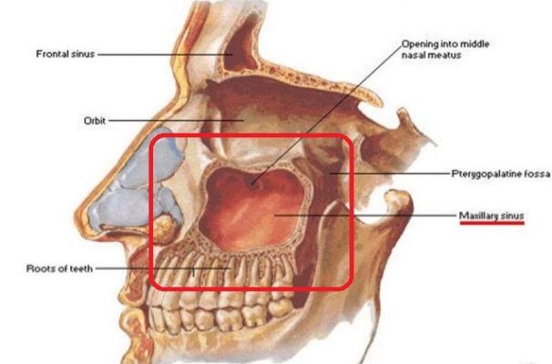 tai-sao-nho-rang-khon-lai-nguy-hiem-3